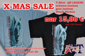XMAS Sale 1