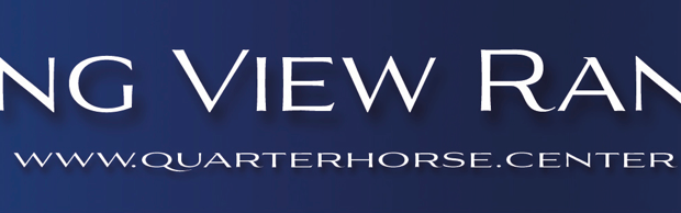 Logo Longview