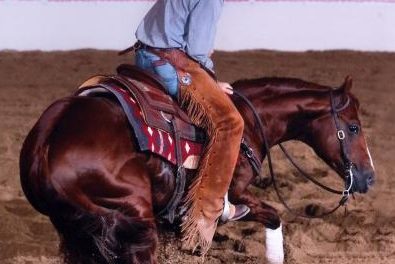 courtesy SDP Buffalo Ranch