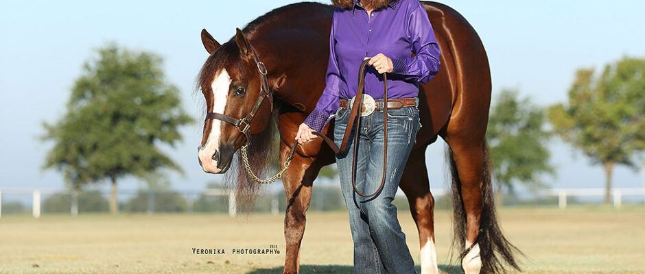 In Den Fussstapfen Der Vaqueros Das Bridle Horse Western Journal